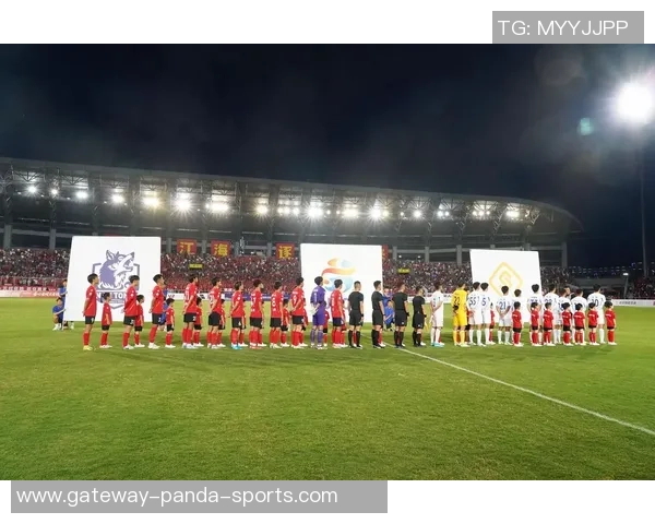 足球的魅力与激情探讨如何在绿茵场上追逐梦想与团队精神